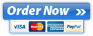 Secure Online Payments and Credit Card Processing by Plimus